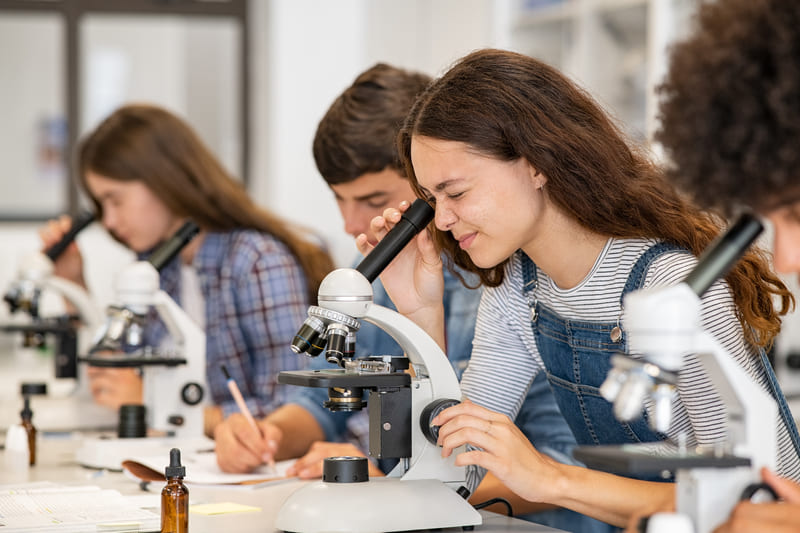 Schüler Mikroskopie